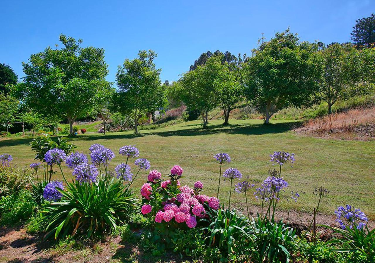 Casa Elena Guest house 2*