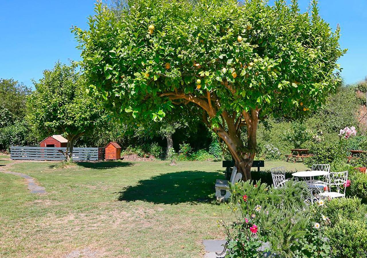Casa Elena Guest house Foro