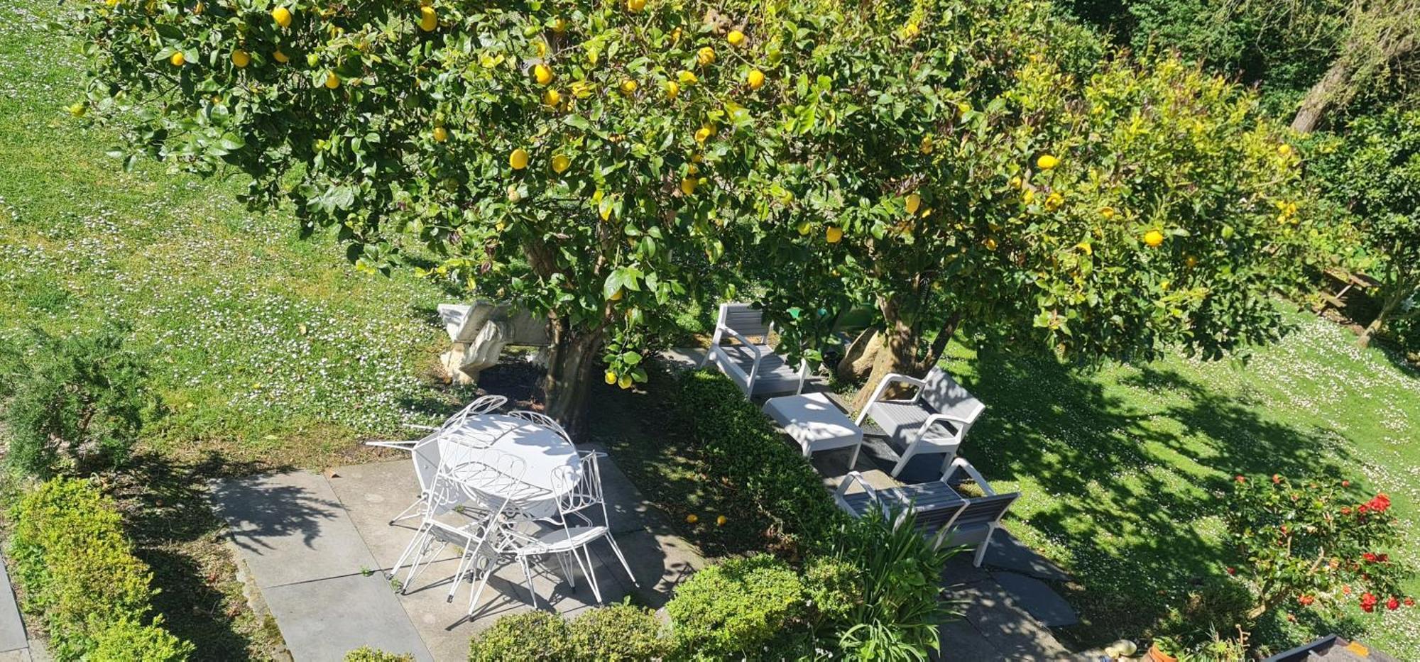 Guest house Casa Elena Foro